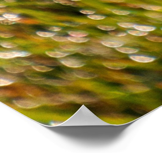 Achtergrond van verse groene lentegroengras met bo poster (Hoek)