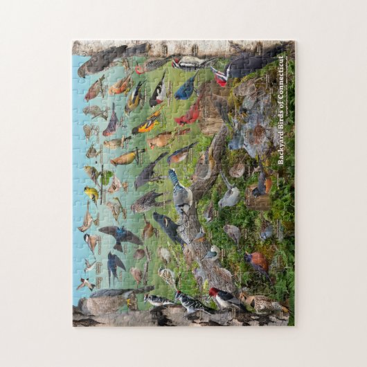 Achtergrond vogels uit Connecticut Legpuzzel (Verticaal)
