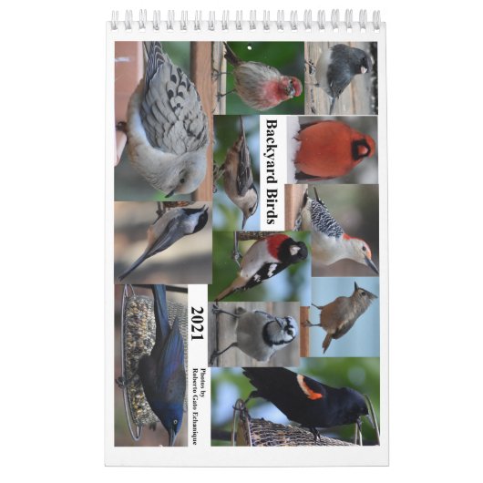 Achtergrond vogels van het middelste deel van de A Kalender (Hoes)