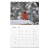 Achtergrond vogels van het middelste deel van de A Kalender (Feb 2027)