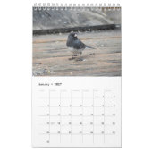Achtergrond vogels van het middelste deel van de A Kalender (Jan 2027)