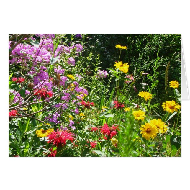 Achtergrond voor Cottage Garden (Voorkant Horizontaal)