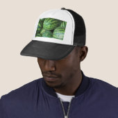 Achtergrond watermeloen trucker pet (In situ)