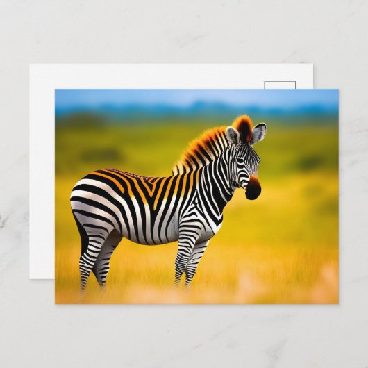 achtergrond zebra natuur briefkaart (Voorkant / Achterkant)