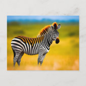 achtergrond zebra natuur briefkaart (Voorkant)