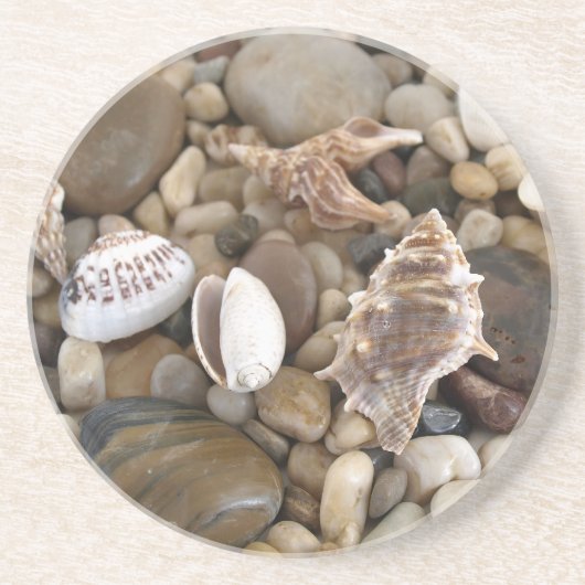 Achtergrond zee Shell Zandsteen Onderzetter (Voorkant)