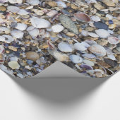 Achtergrond zeeshells cadeaupapier (Hoek)