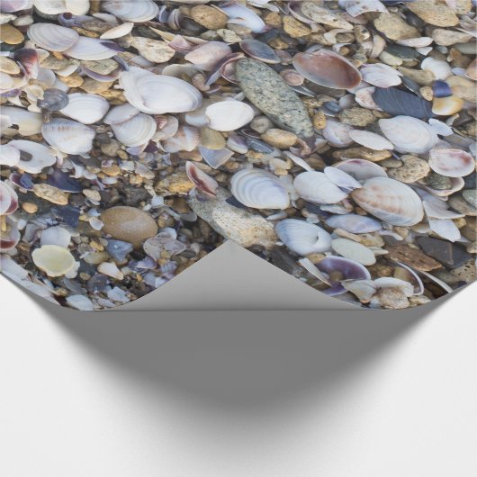 Achtergrond zeeshells cadeaupapier (Hoek)