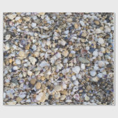 Achtergrond zeeshells cadeaupapier (Vlak)