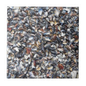 Achtergrond zeeshells tegeltje (Voorkant)