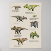 Achtergronddiagram van dinosauriërs poster (Voorkant)