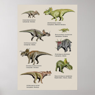 Achtergronddiagram van dinosauriërs poster