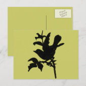 Achtergrondkleur wijzigen briefkaart (Voorkant / Achterkant)