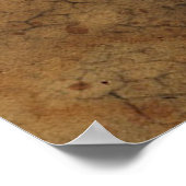 Achtergrondtextuur van de schedel van het man poster (Hoek)