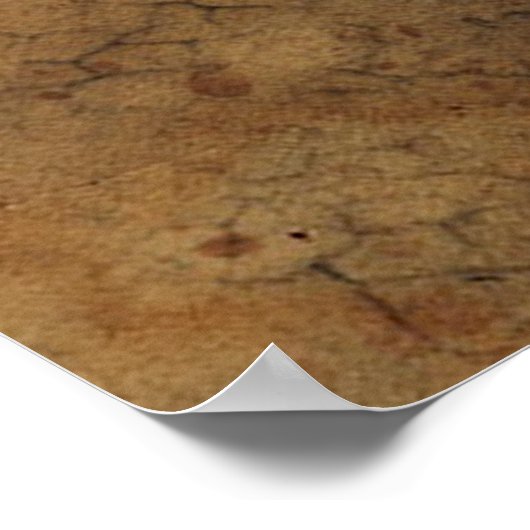 Achtergrondtextuur van de schedel van het man poster (Hoek)