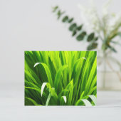 Achtergrondverlichte bladeren in tuin briefkaart (Staand voorkant)