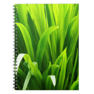 Achtergrondverlichte bladeren in tuin notitieboek