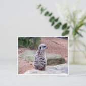 achterkant briefkaart (Staand voorkant)