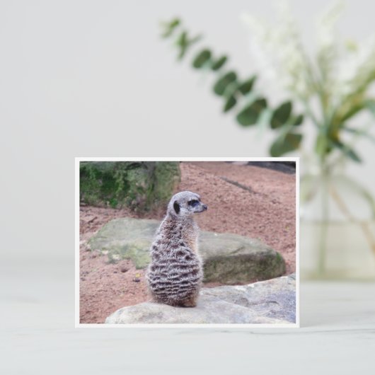 achterkant briefkaart (Staand voorkant)