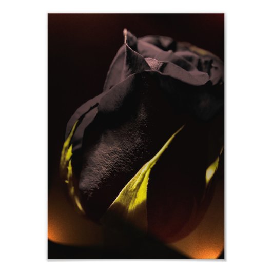 Achterkant Foto Afdruk (Voorkant)