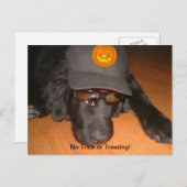 Achterkant van deze halloween briefkaart (Voorkant / Achterkant)