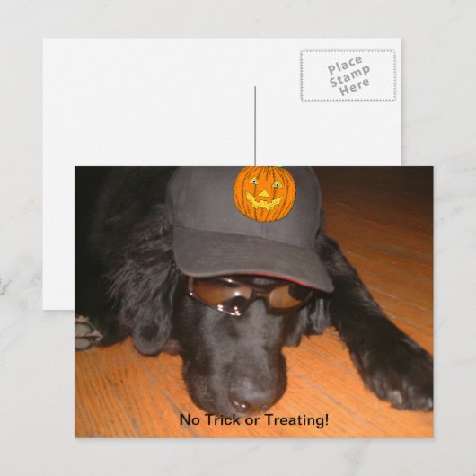 Achterkant van deze halloween briefkaart (Voorkant / Achterkant)