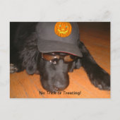 Achterkant van deze halloween briefkaart (Voorkant)