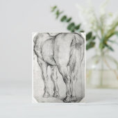 Achterkant van het paard briefkaart (Staand voorkant)