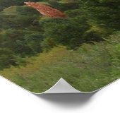 Achterkant van Kissing Camels in Garden of the God Poster (Hoek)