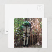 Achterkant van Okapi Briefkaart (Voorkant / Achterkant)