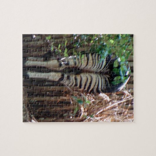 Achterkant van Okapi Legpuzzel (Horizontaal)