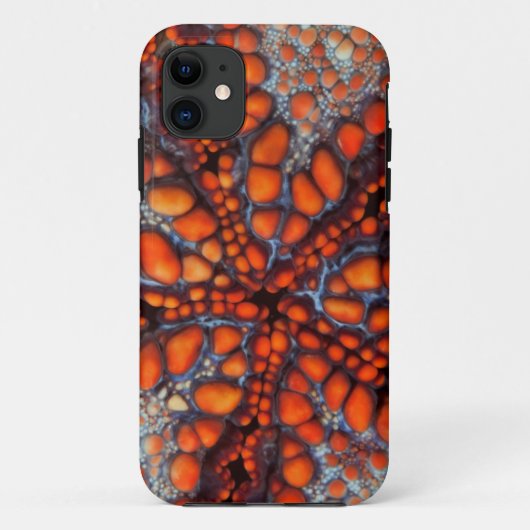 Achterkant Zee ster |Cambodja Case-Mate iPhone Case (Achterkant)