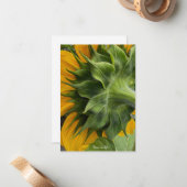 Achterkant zonnebloem notitiekaartje (Voorkant / Achterkant in situ)