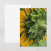 Achterkant zonnebloem notitiekaartje (Voorkant / Achterkant)