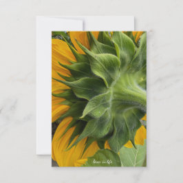 Achterkant zonnebloem notitiekaartje