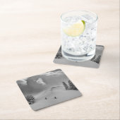 Achterlandskisklimmers in vers poeder kartonnen onderzetters (Insitu)