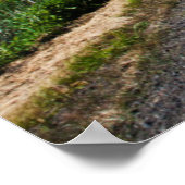 Achterlandweg door de velden van Spring Canola Poster (Hoek)