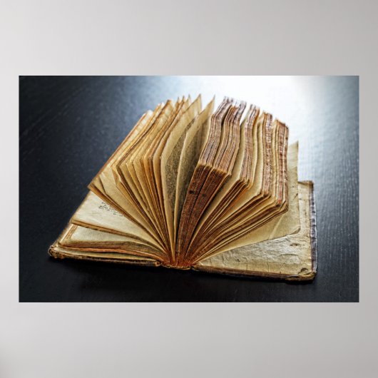 Achterlicht antiek boek poster (Voorkant)
