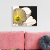 Achterlicht Witte Narcissen Bloem Canvas Afdruk (Insitu (Woonkamer))