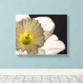 Achterlicht Witte Narcissen Bloem Canvas Afdruk (Insitu (Houten vloer))