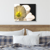Achterlicht Witte Narcissen Bloem Canvas Afdruk (Insitu (Slaapkamer))
