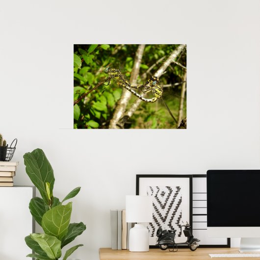 Achterlijfhaas Poster (Thuiskantoor)