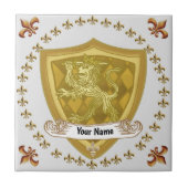 Achternaam Lion Shield Family Crest Tegeltje (Voorkant)