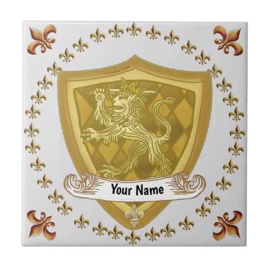 Achternaam Lion Shield Family Crest Tegeltje (Voorkant)