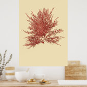 Achterpootszaad 4 poster (Keuken)