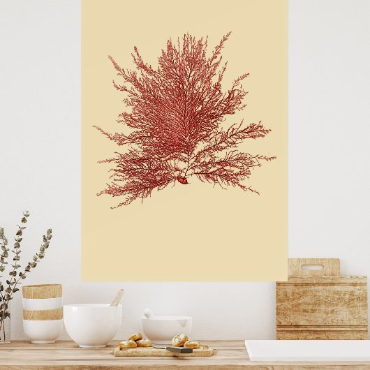 Achterpootszaad 4 poster (Keuken)