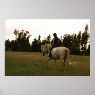 Achterrijden in de droomwereld - Poster