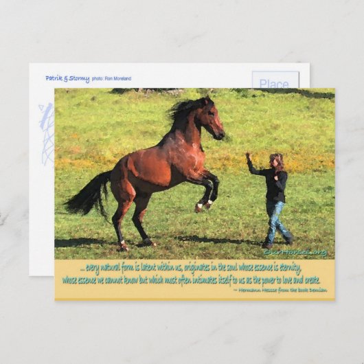 Achterste citaat Patrik Briefkaart (Voorkant / Achterkant)