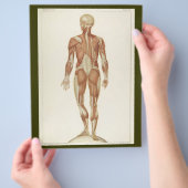 Achterste Spieren Flyer (Hand)