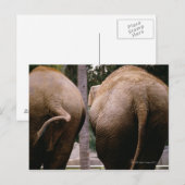 Achterste uitzicht van Aziatische olifanten Briefkaart (Voorkant / Achterkant)